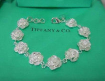 Tiffany-bracelet (370)