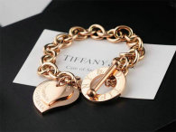 Tiffany-bracelet (604)