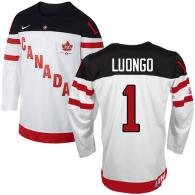 Olympic CA 1 Roberto Luongo White 100th Anniversary Stitched NHL Jersey