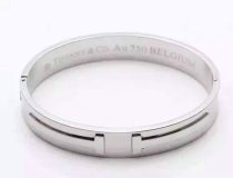 Tiffany-bracelet (658)