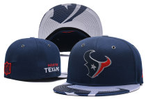 NFL Houston Texans Cap (11)