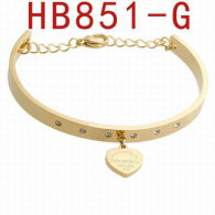Tiffany-bracelet (713)