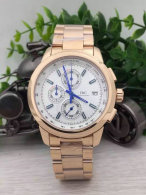 IWC watches (18)