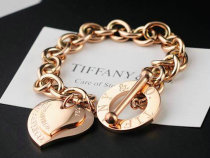 Tiffany-bracelet (497)