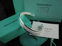 Tiffany-bracelet (565)