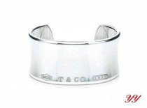 Tiffany-bracelet (358)