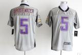 Nike Minnesota Vikings #5 Teddy Bridgewater Grey Shadow Men's Stitched NFL Elite Jersey