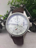 IWC watches (11)