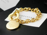 Tiffany-bracelet (607)