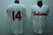 Mitchell and Ness Cleveland Indians -14 Larry Doby Stitched Cream Throwback MLB Jersey