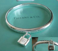 Tiffany-bracelet (455)
