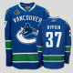 Vancouver Canucks 2011 Stanley Cup Finals -37 Rick Rypien Blue Stitched NHL Jersey