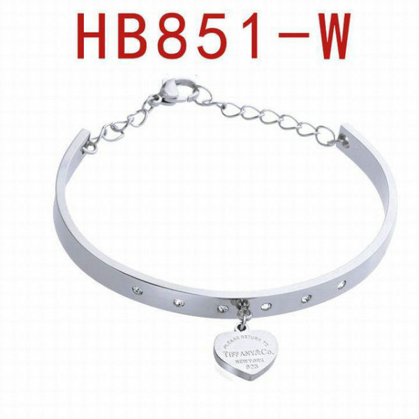 Tiffany-bracelet (715)