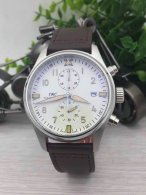IWC watches (14)