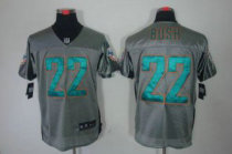 Nike Dolphins -22 Reggie Bush Grey Shadow Stitched NFL Elite Jersey