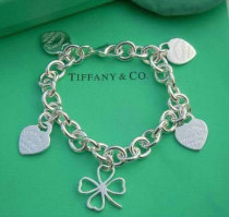 Tiffany-bracelet (539)