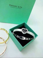 Tiffany-bracelet (204)