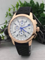 IWC watches (30)