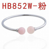 Tiffany-bracelet (688)