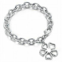 Tiffany-bracelet (629)
