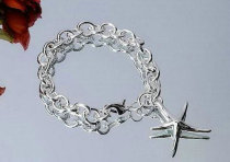Tiffany-bracelet (437)