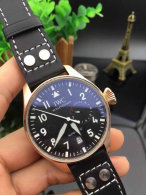 IWC watches (33)