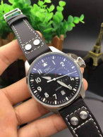IWC watches (36)