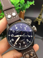 IWC watches (40)