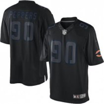 Nike Bears -90 Julius Peppers Black Stitched NFL Impact Limited Jersey