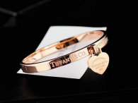 Tiffany-bracelet (552)