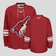 Arizona Coyotes Blank Stitched Red NHL Jersey
