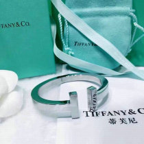 Tiffany-bracelet (672)