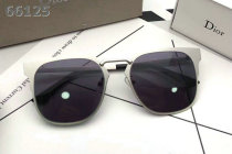 Dior Sunglasses AAA (1539)