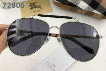 Burberry Sunglasses AAA (353)