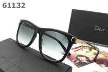 Dior Sunglasses AAA (1313)