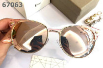 Dior Sunglasses AAA (1651)