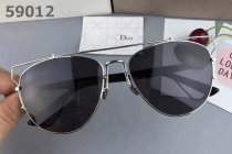 Dior Sunglasses AAA (1217)