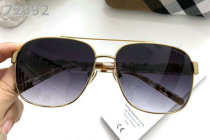 Burberry Sunglasses AAA (358)