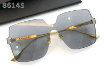 Dior Sunglasses AAA (1133)