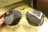 Burberry Sunglasses AAA (229)