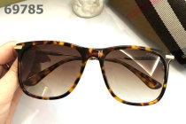 Burberry Sunglasses AAA (257)