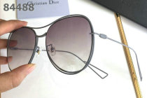 Dior Sunglasses AAA (1103)