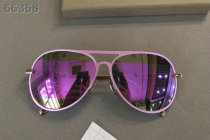 Dior Sunglasses AAA (1595)