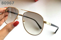 Ferragamo Sunglasses AAA (114)