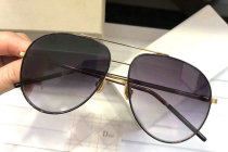 Dior Sunglasses AAA (1496)