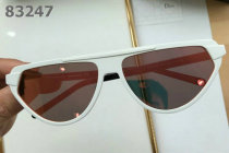 Dior Sunglasses AAA (1012)