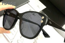 Dior Sunglasses AAA (579)
