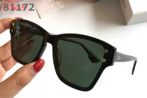 Dior Sunglasses AAA (899)
