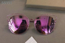 Dior Sunglasses AAA (1559)