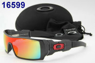 Oakley Sunglasses AAA (132)